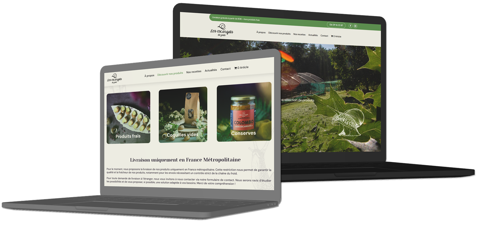 Création de sites WordPress à Limoges