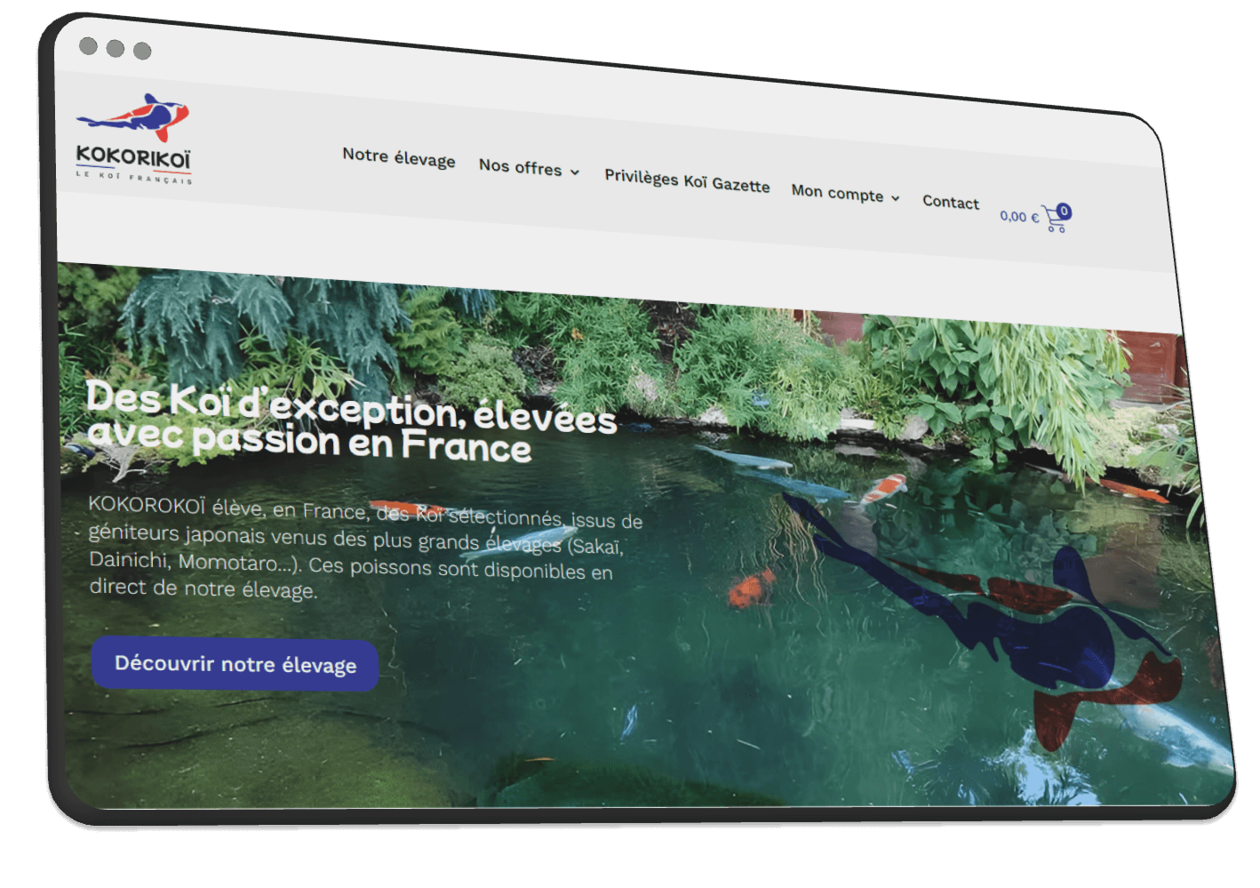 Création de sites WordPress à Limoges